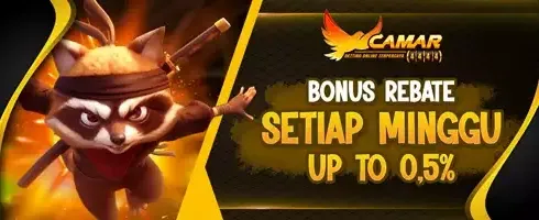 Cashback VIP Hingga 0,5% Setiap Minggu promotional banner